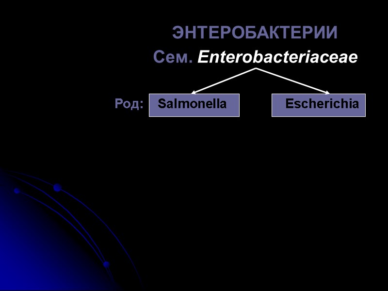 ЭНТЕРОБАКТЕРИИ Сем. Enterobacteriaceae Род:    Salmonella Escherichia